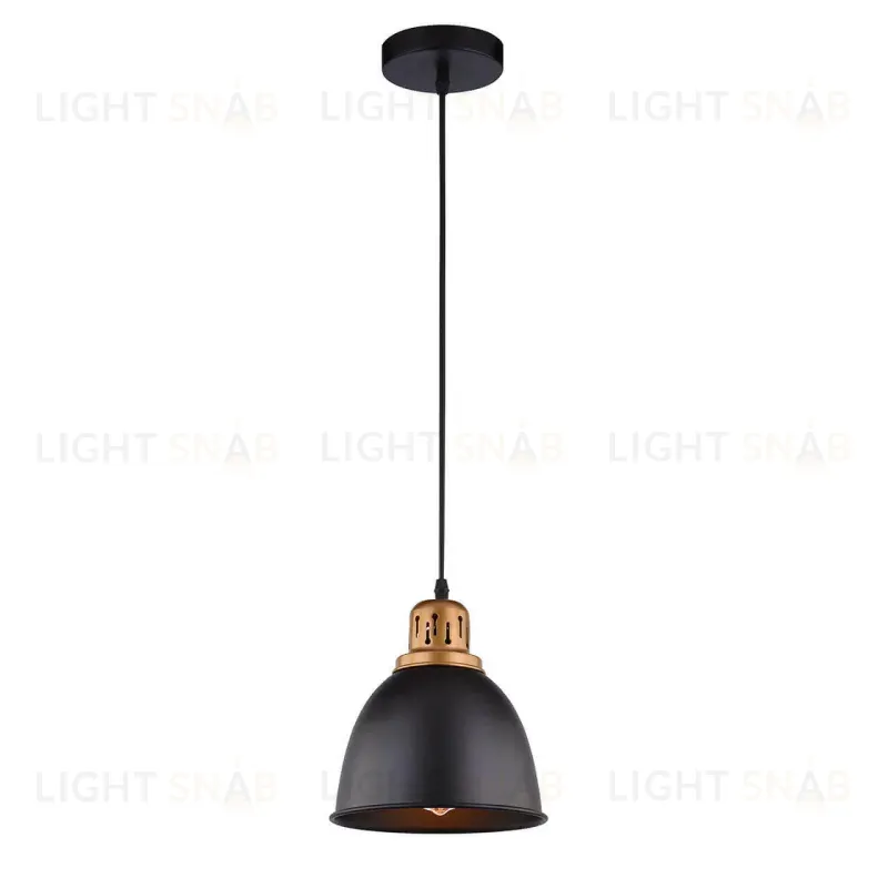 Подвесной светильник Arte Lamp Eurica A4245SP-1BK A4245SP-1BK