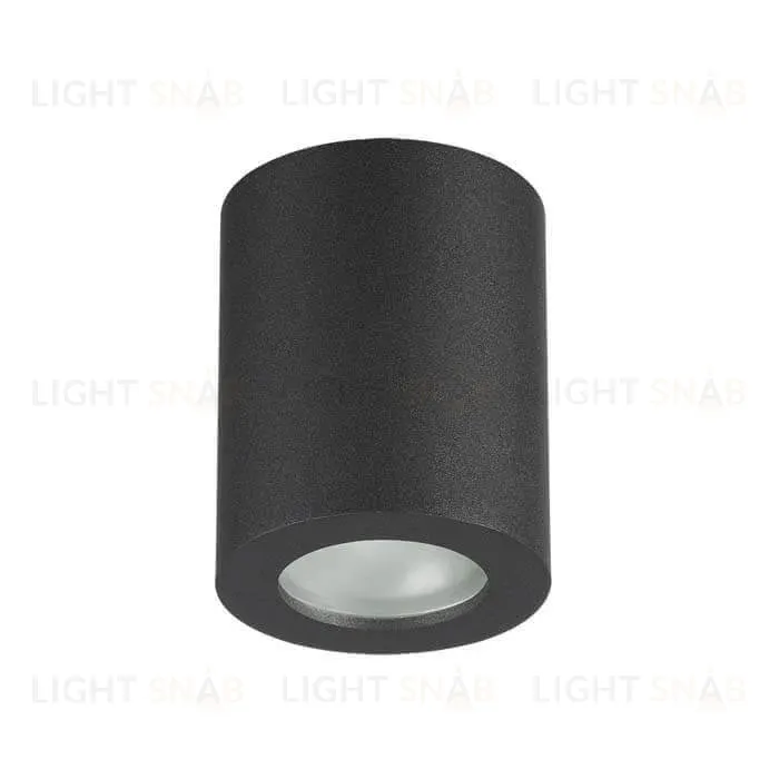 Потолочный светильник Odeon Light Aquana 3572/1C 3572/1C