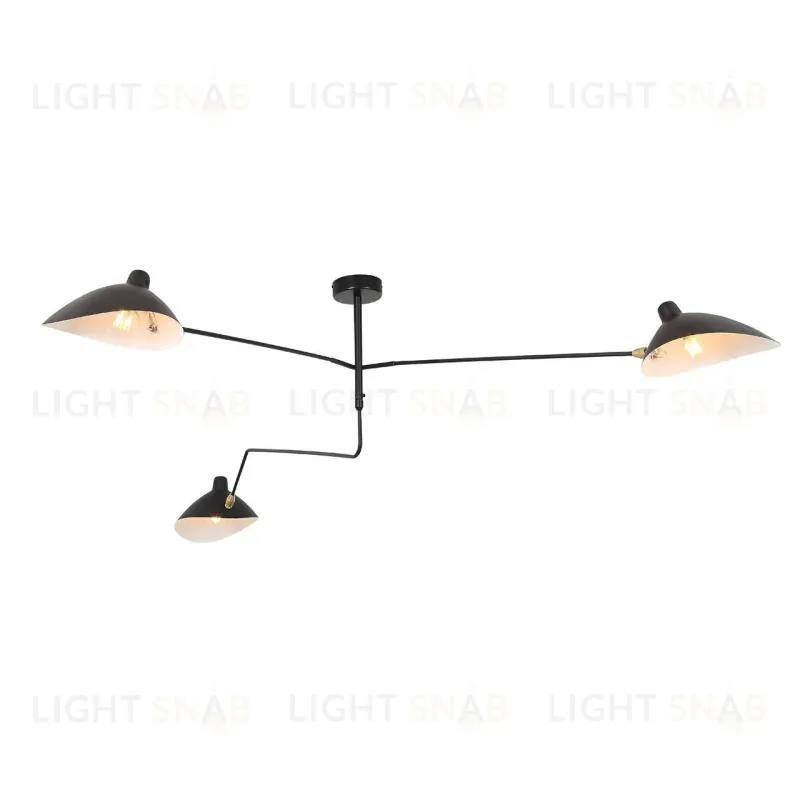 Потолочная люстра ST Luce Spruzzo SL305.402.03 SL305.402.03