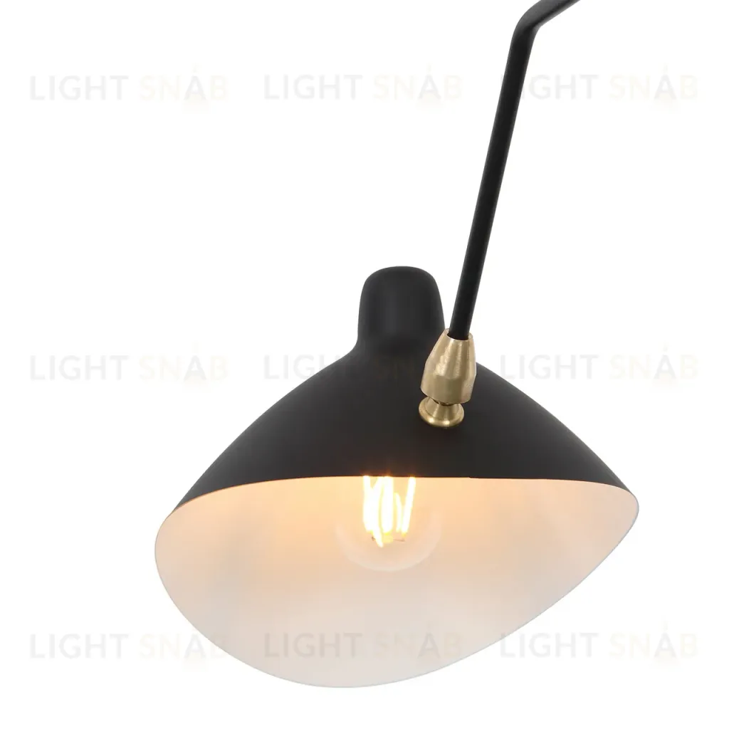 Потолочная люстра ST Luce Spruzzo SL305.402.03 SL305.402.03