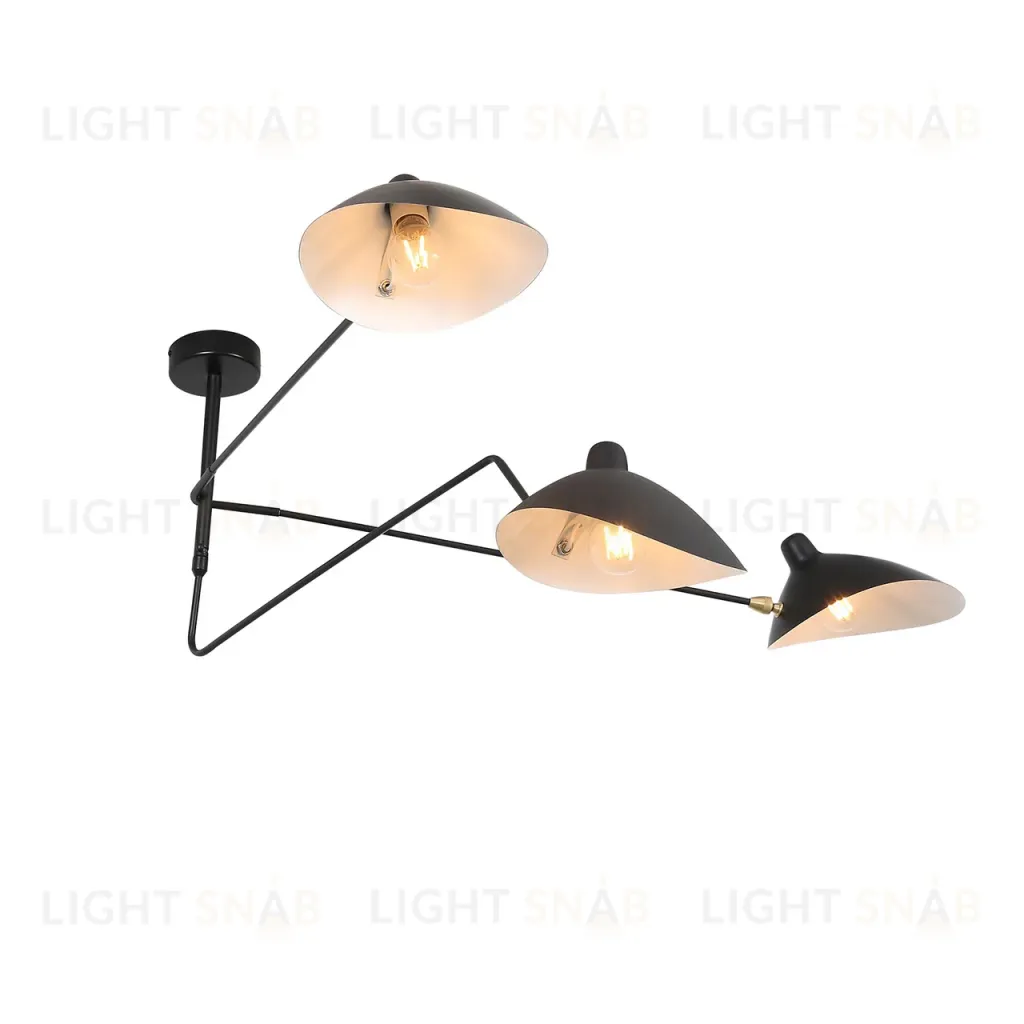 Потолочная люстра ST Luce Spruzzo SL305.402.03 SL305.402.03