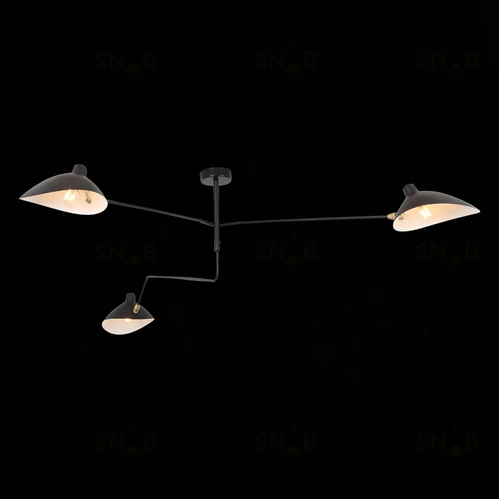 Потолочная люстра ST Luce Spruzzo SL305.402.03 SL305.402.03