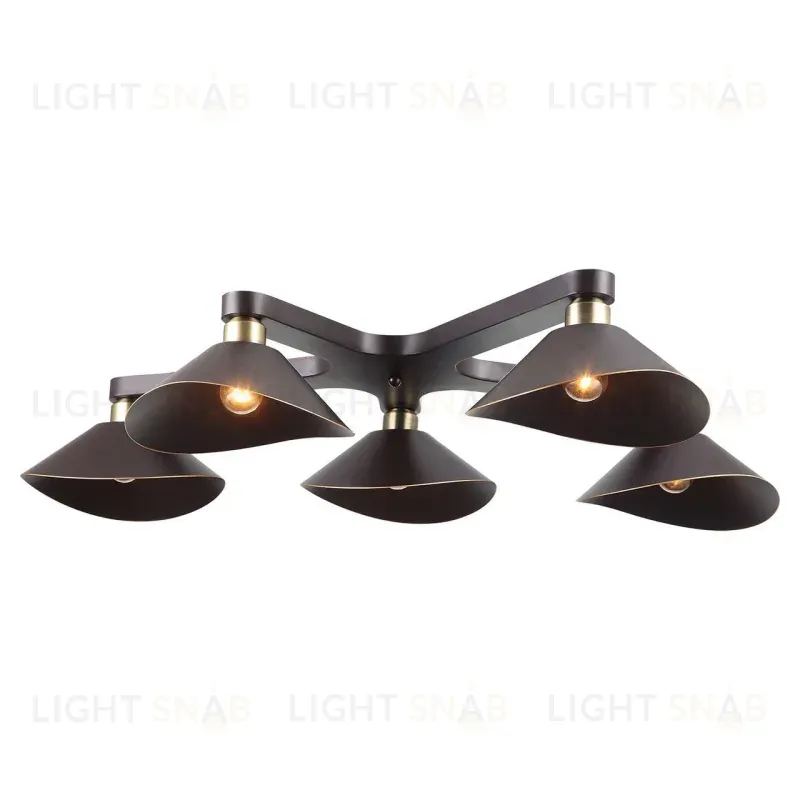 Потолочная люстра Lussole Loft LSP-9535 LSP-9535