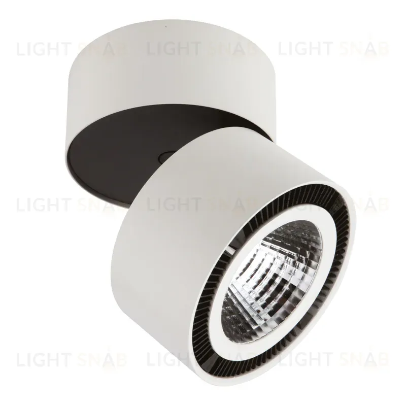 Потолочный светодиодный светильник Lightstar Forte Muro 213850 213850