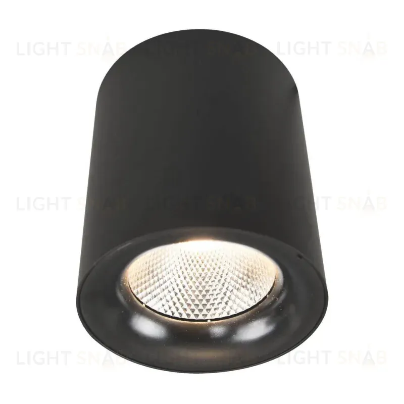 Потолочный светодиодный светильник Arte Lamp Facile A5118PL-1BK A5118PL-1BK