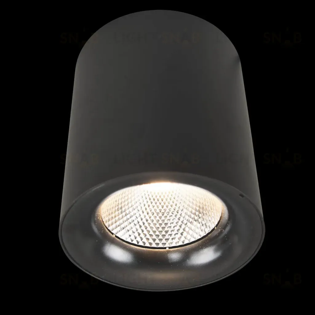 Потолочный светодиодный светильник Arte Lamp Facile A5118PL-1BK A5118PL-1BK