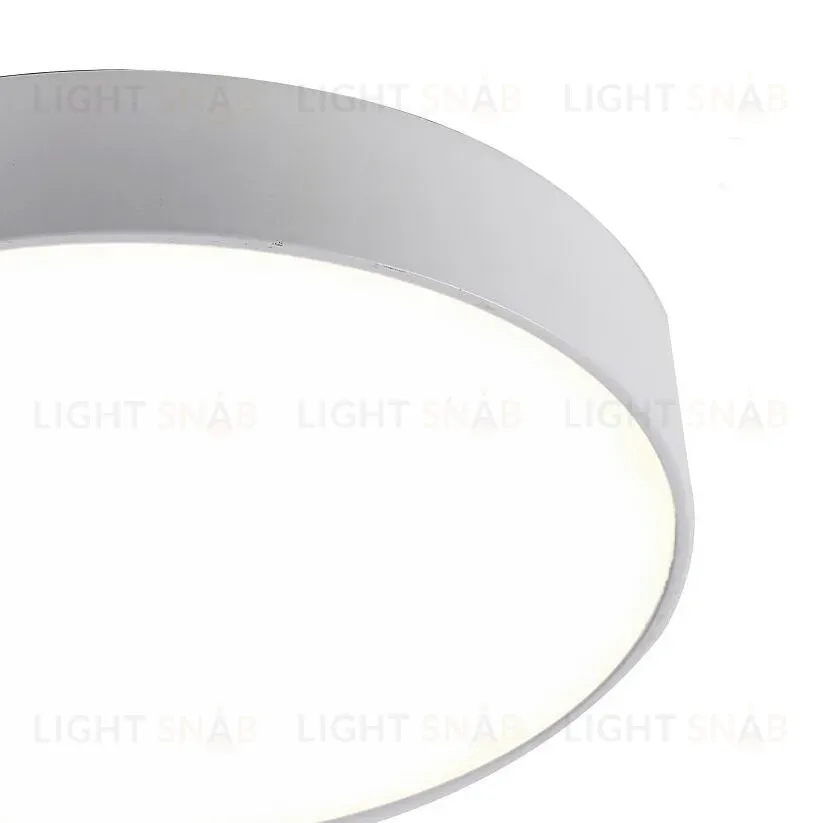 Потолочный светодиодный светильник Favourite Flashled 2065-30C 2065-30C