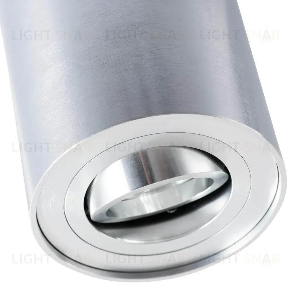 Потолочный светильник Arte Lamp A5644PL-1SI A5644PL-1SI