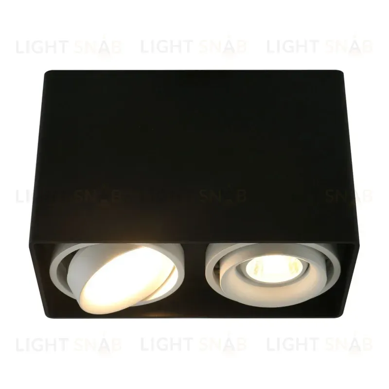 Потолочный светильник Arte Lamp A5655PL-2BK A5655PL-2BK