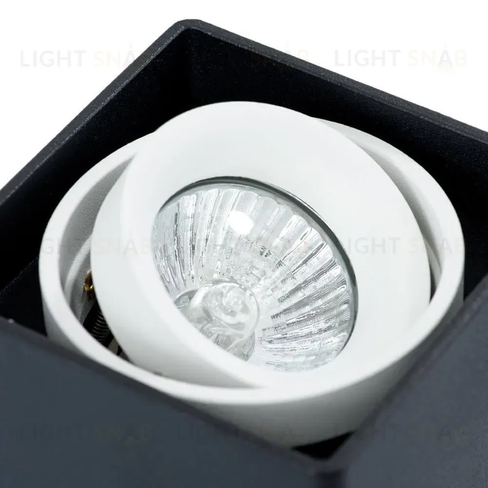 Потолочный светильник Arte Lamp A5655PL-1BK A5655PL-1BK