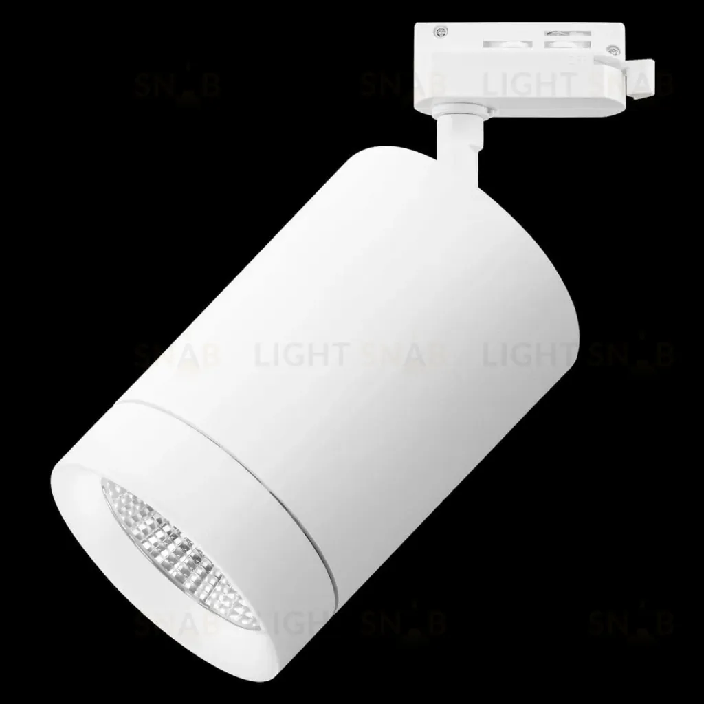 Трековый светодиодный светильник Lightstar Canno Led 303262 303262