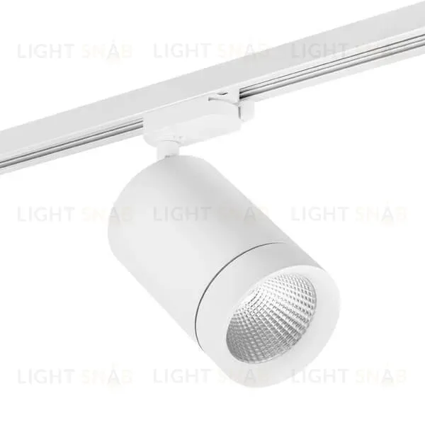 Трековый светодиодный светильник Lightstar Canno Led 303262 303262