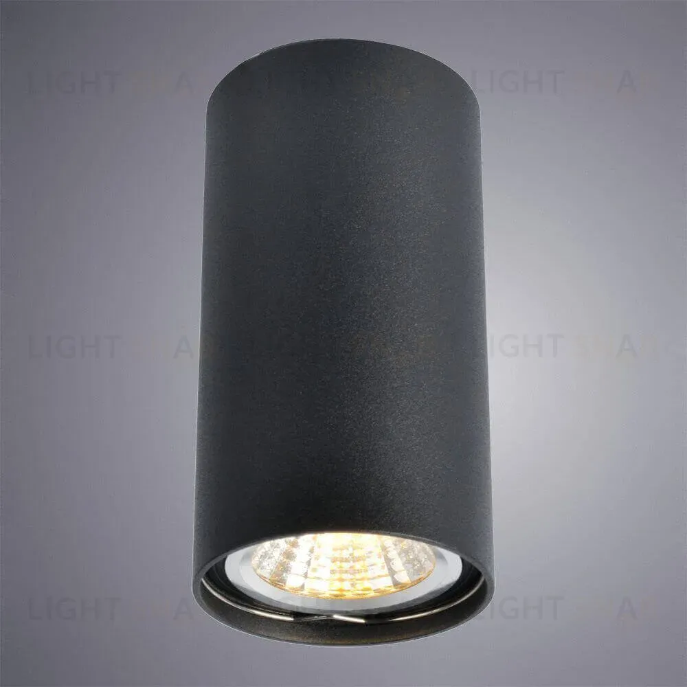 Потолочный светильник Arte Lamp A1516PL-1BK A1516PL-1BK