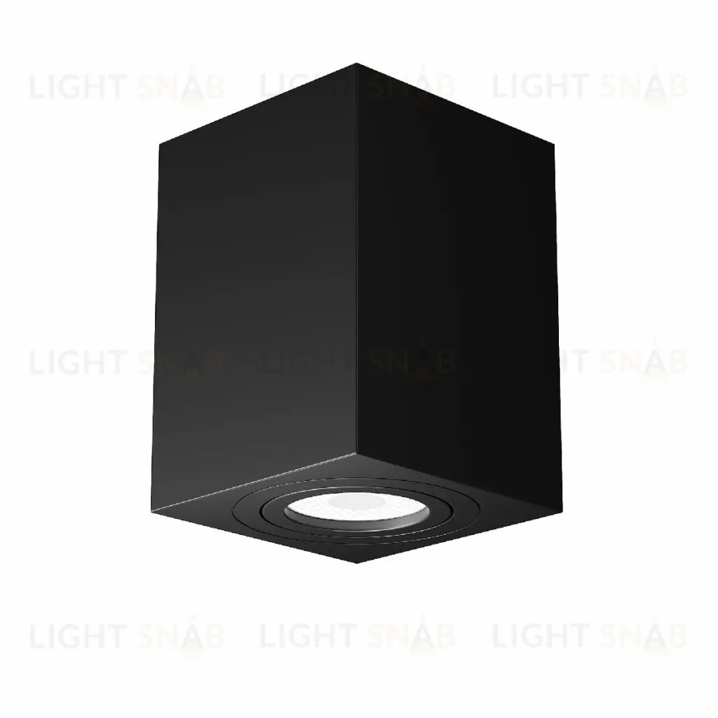 Потолочный светильник Maytoni Alfa C017CL-01B C017CL-01B