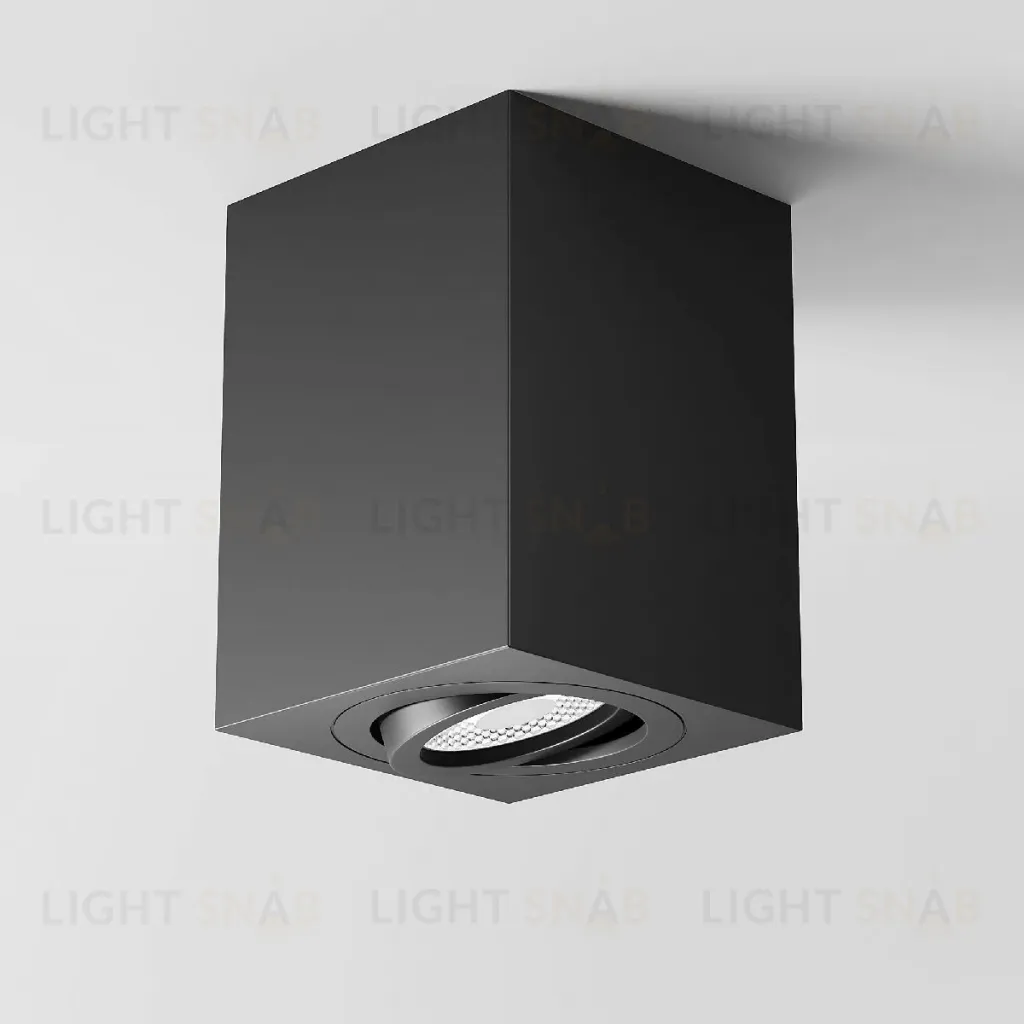 Потолочный светильник Maytoni Alfa C017CL-01B C017CL-01B