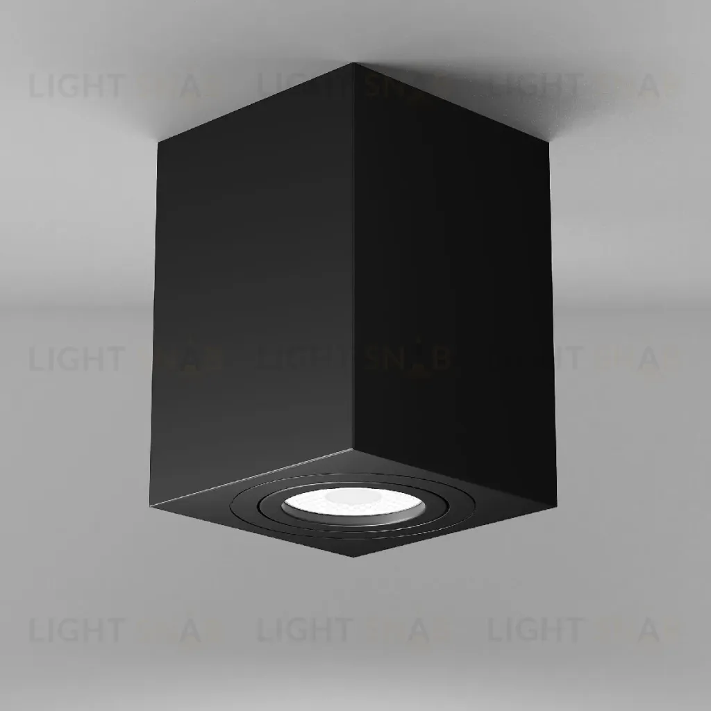 Потолочный светильник Maytoni Alfa C017CL-01B C017CL-01B