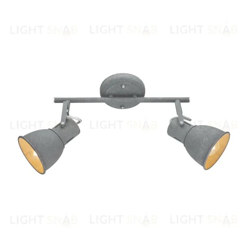 Спот Arte Lamp A1677PL-2GY A1677PL-2GY