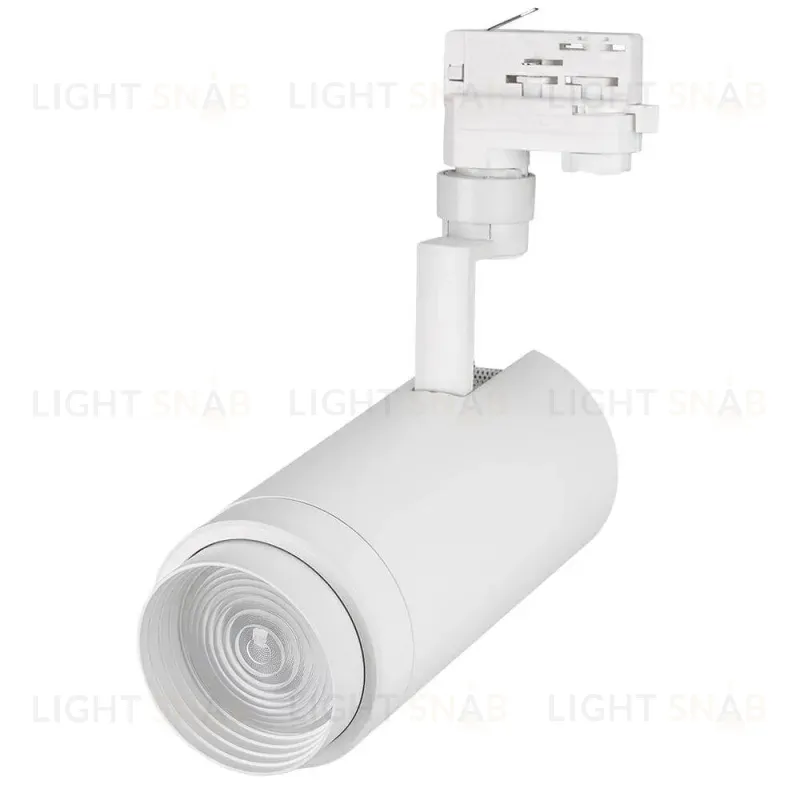 Трековый светильник Arlight LGD-ZEUS-4TR-R100-30W Day 024609 024609