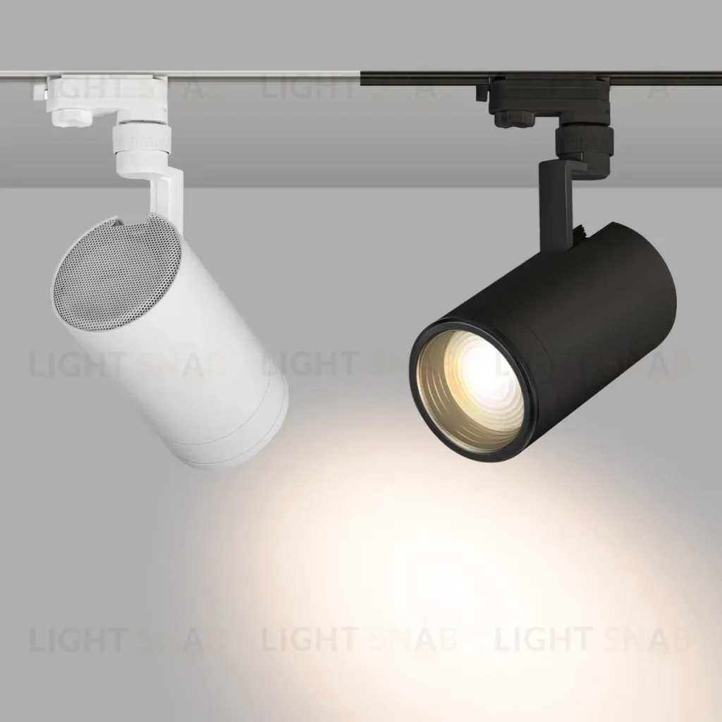 Трековый светильник Arlight LGD-ZEUS-4TR-R100-30W Day 024609 024609
