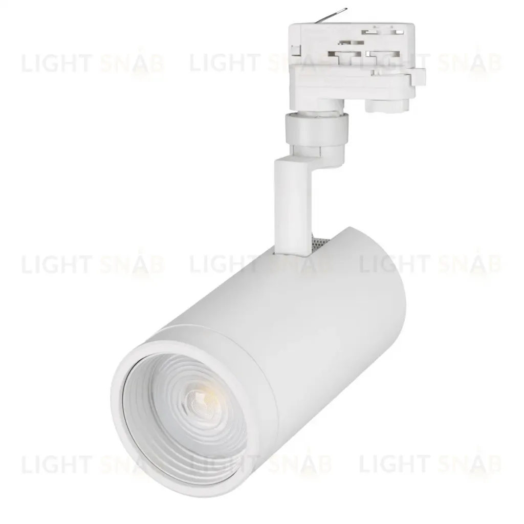Трековый светильник Arlight LGD-ZEUS-4TR-R100-30W Day 024609 024609