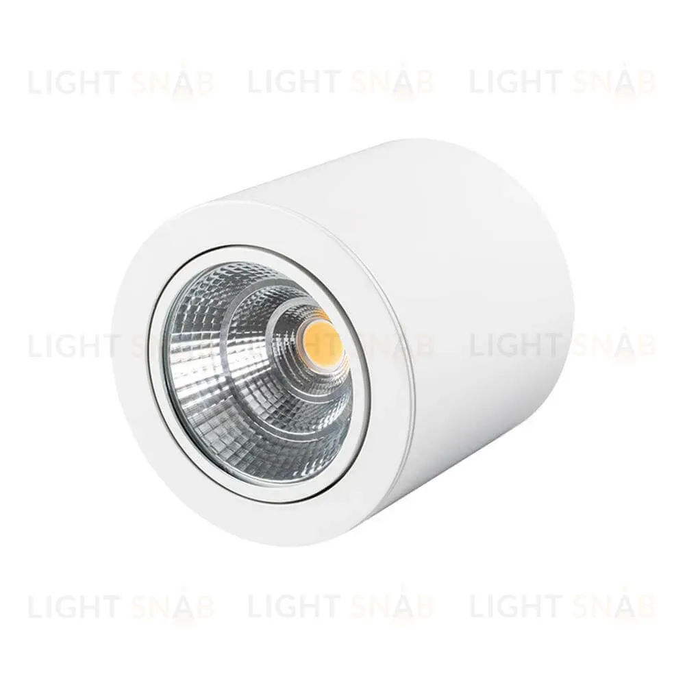 Накладной светильник Arlight SP-FOCUS-R140-30W Day White 021428 021428