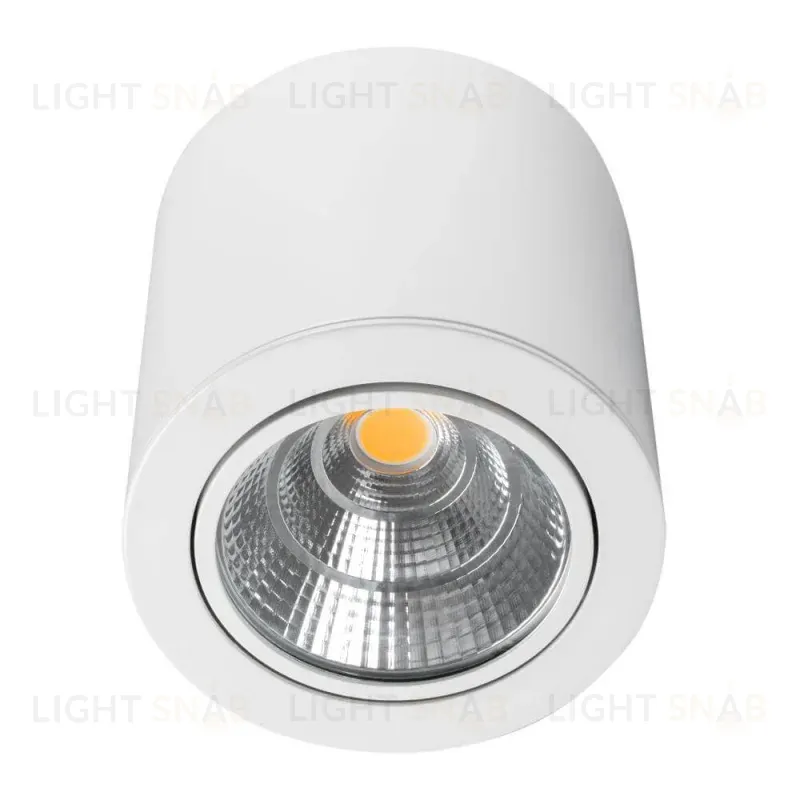 Накладной светильник Arlight SP-FOCUS-R140-30W Day White 021428 021428