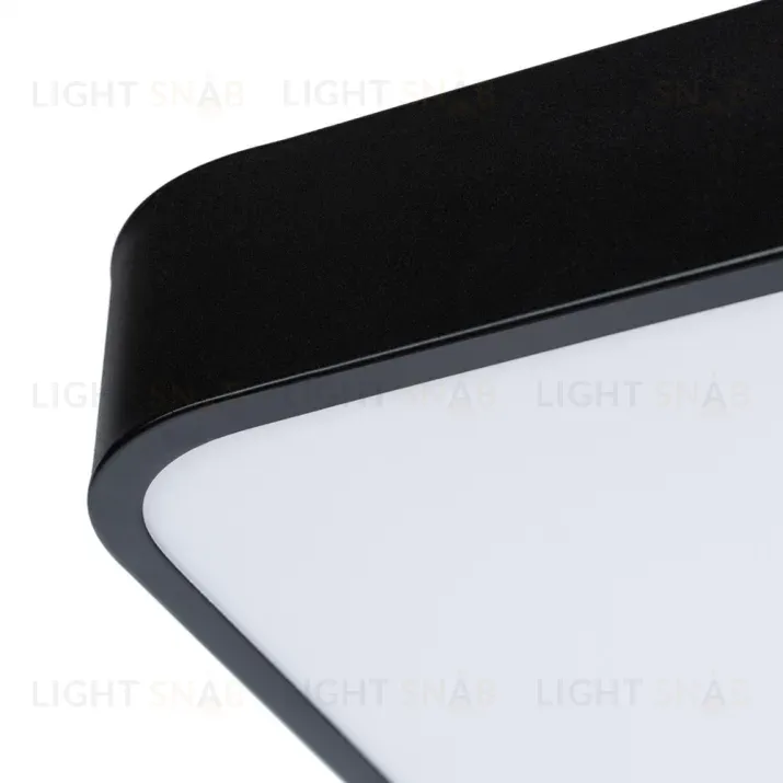 Потолочный светильник Arte Lamp A2663PL-1BK A2663PL-1BK