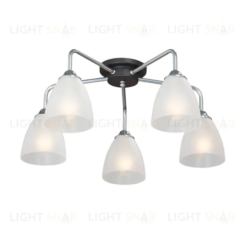 Потолочная люстра Vitaluce V4500-9/5PL V4500-9/5PL