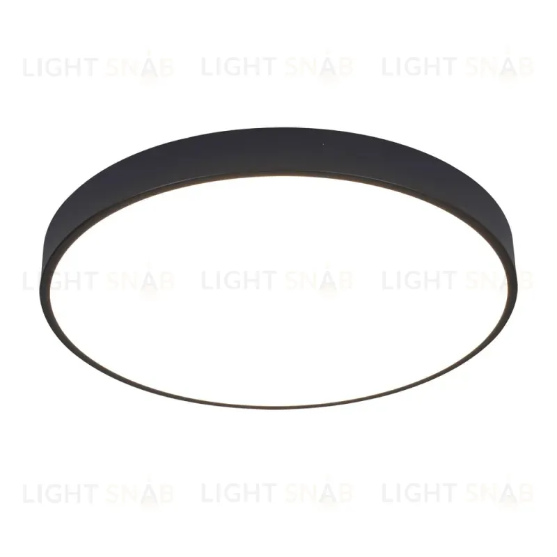 Потолочный светодиодный светильник Arte Lamp Arena A2672PL-1BK A2672PL-1BK
