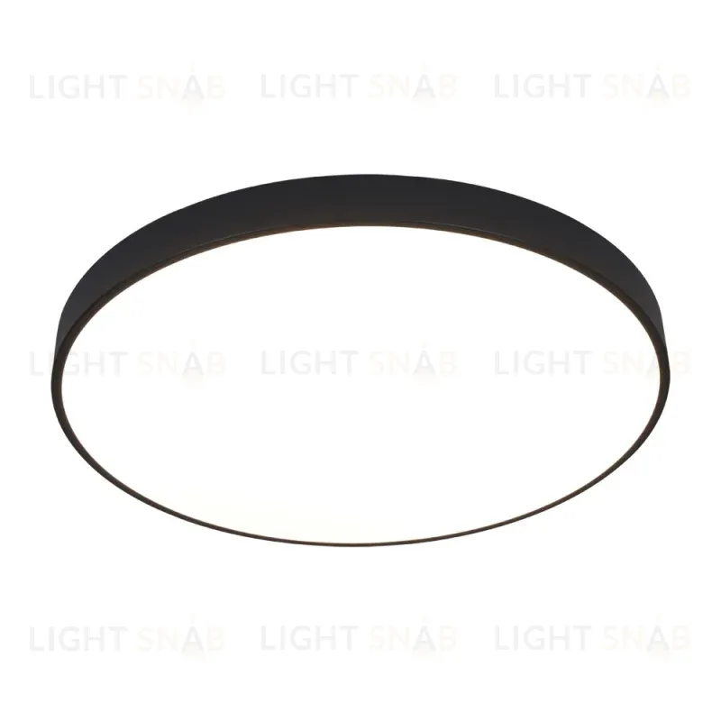 Потолочный светодиодный светильник Arte Lamp Arena A2673PL-1BK A2673PL-1BK