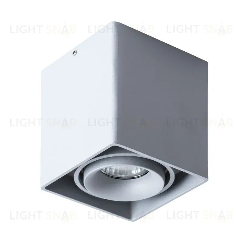 Потолочный светильник Arte Lamp Pictor A5654PL-1GY A5654PL-1GY