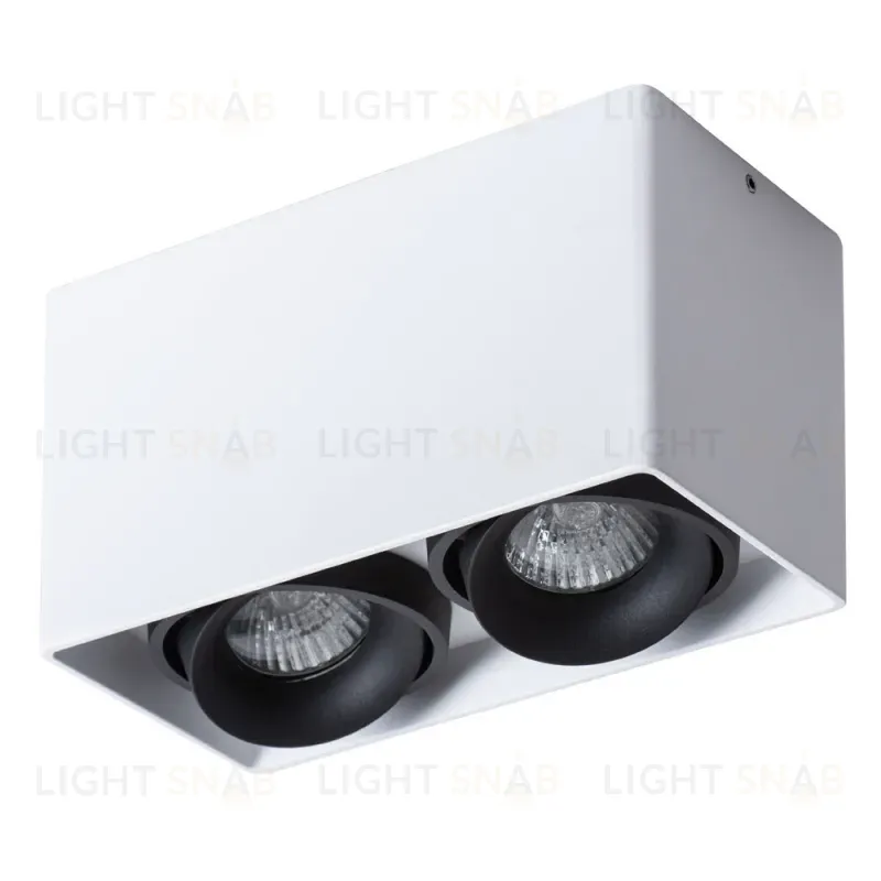 Потолочный светильник Arte Lamp Pictor A5654PL-2WH A5654PL-2WH