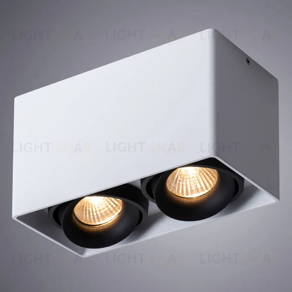 Потолочный светильник Arte Lamp Pictor A5654PL-2WH A5654PL-2WH