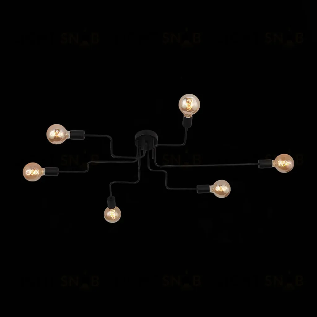 Потолочная люстра ST Luce Ano SL419.442.06 SL419.442.06