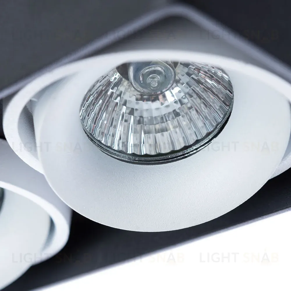 Потолочный светильник Arte Lamp Pictor A5654PL-2BK A5654PL-2BK