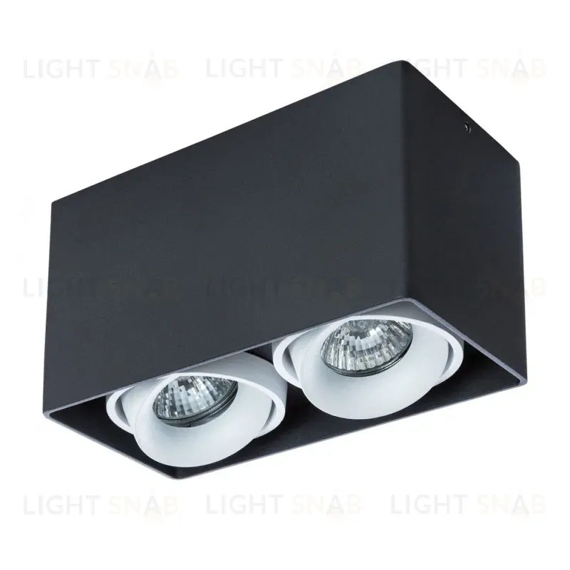 Потолочный светильник Arte Lamp Pictor A5654PL-2BK A5654PL-2BK