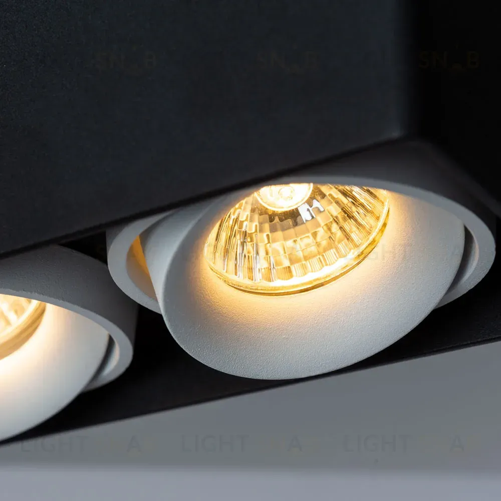 Потолочный светильник Arte Lamp Pictor A5654PL-2BK A5654PL-2BK