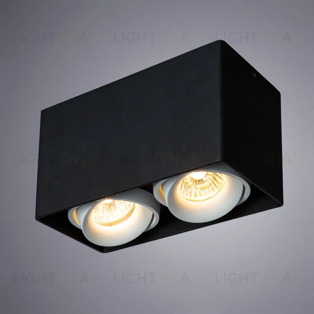 Потолочный светильник Arte Lamp Pictor A5654PL-2BK A5654PL-2BK