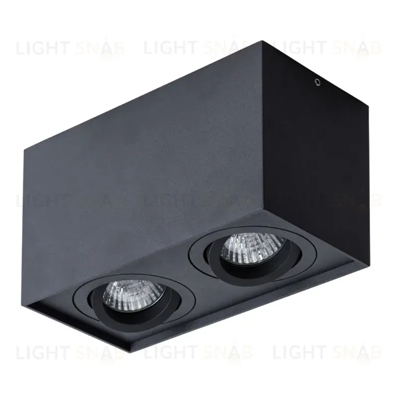 Потолочный светильник Arte Lamp Factor A5544PL-2BK A5544PL-2BK