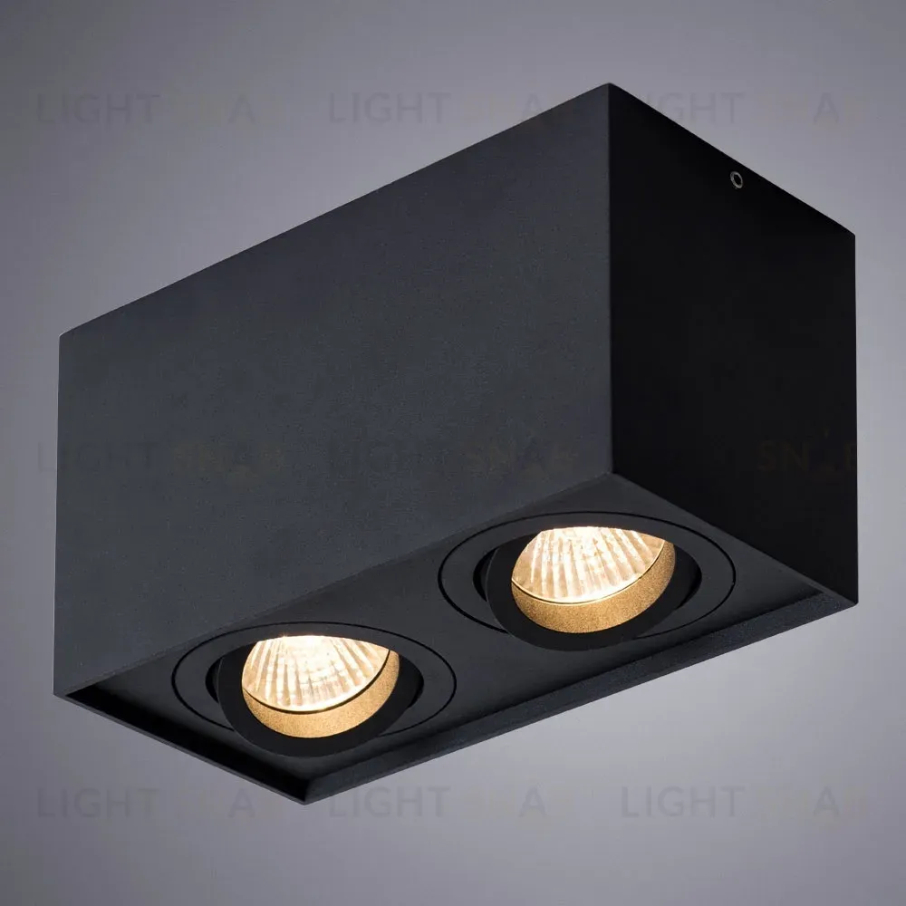 Потолочный светильник Arte Lamp Factor A5544PL-2BK A5544PL-2BK