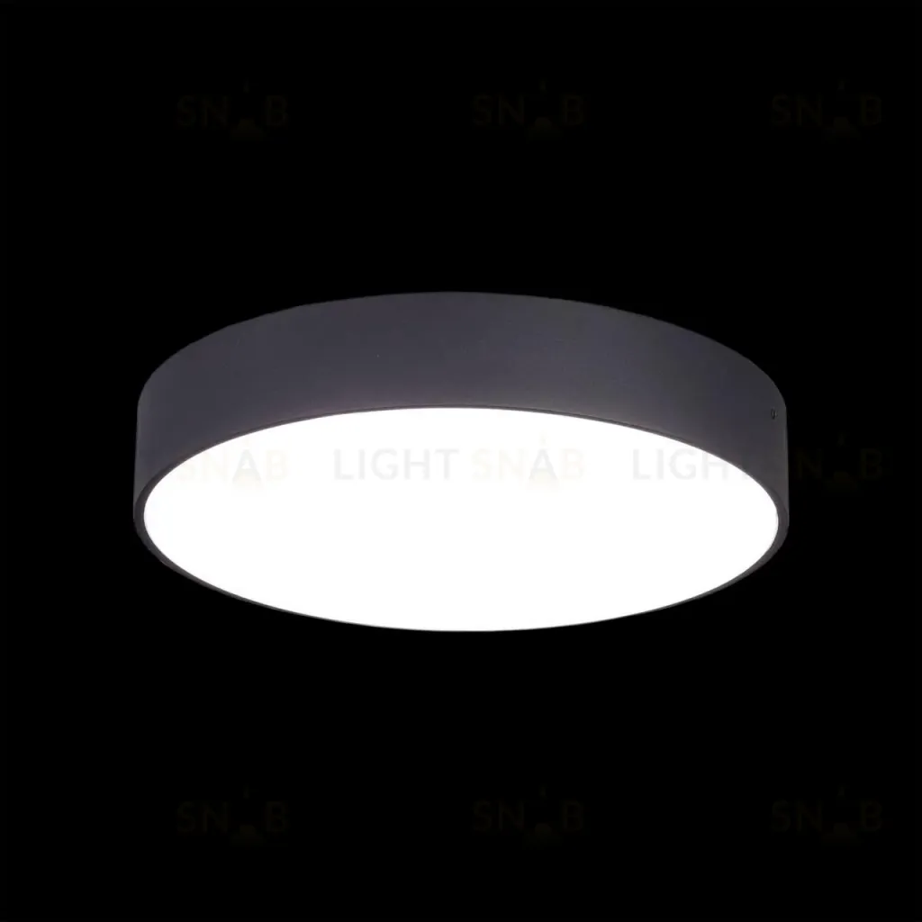 Накладной светодиодный светильник Citilux Тао CL712242N CL712242N