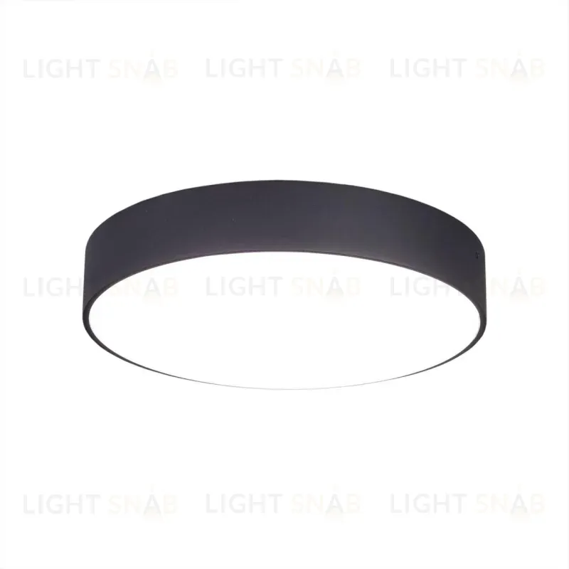 Накладной светодиодный светильник Citilux Тао CL712242N CL712242N