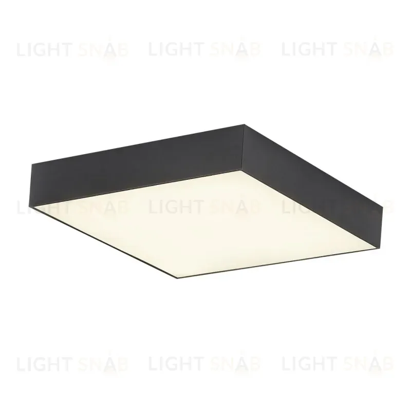 Накладной светодиодный светильник Citilux Тао CL712X242N CL712X242N