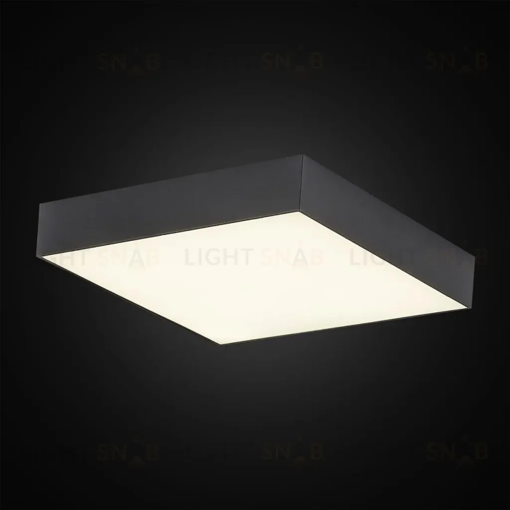 Накладной светодиодный светильник Citilux Тао CL712X242N CL712X242N