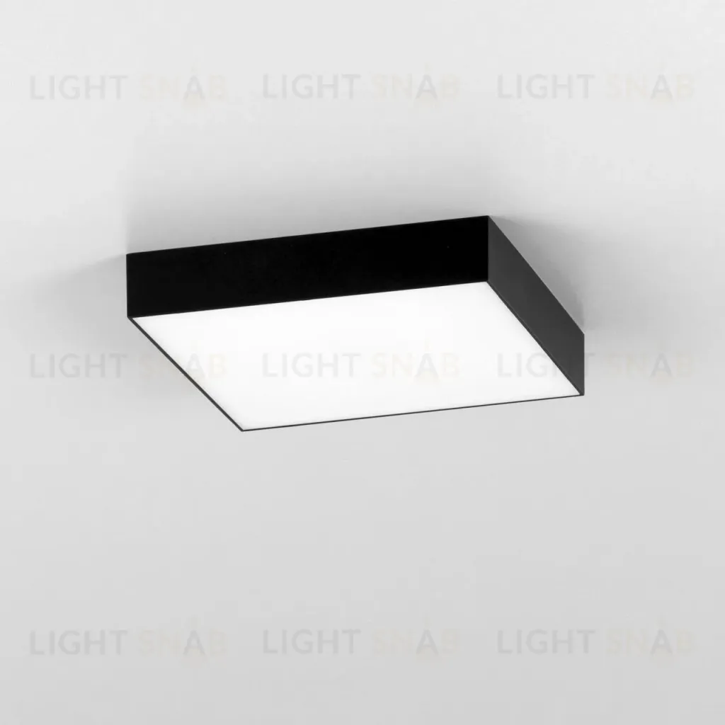 Накладной светодиодный светильник Citilux Тао CL712X242N CL712X242N