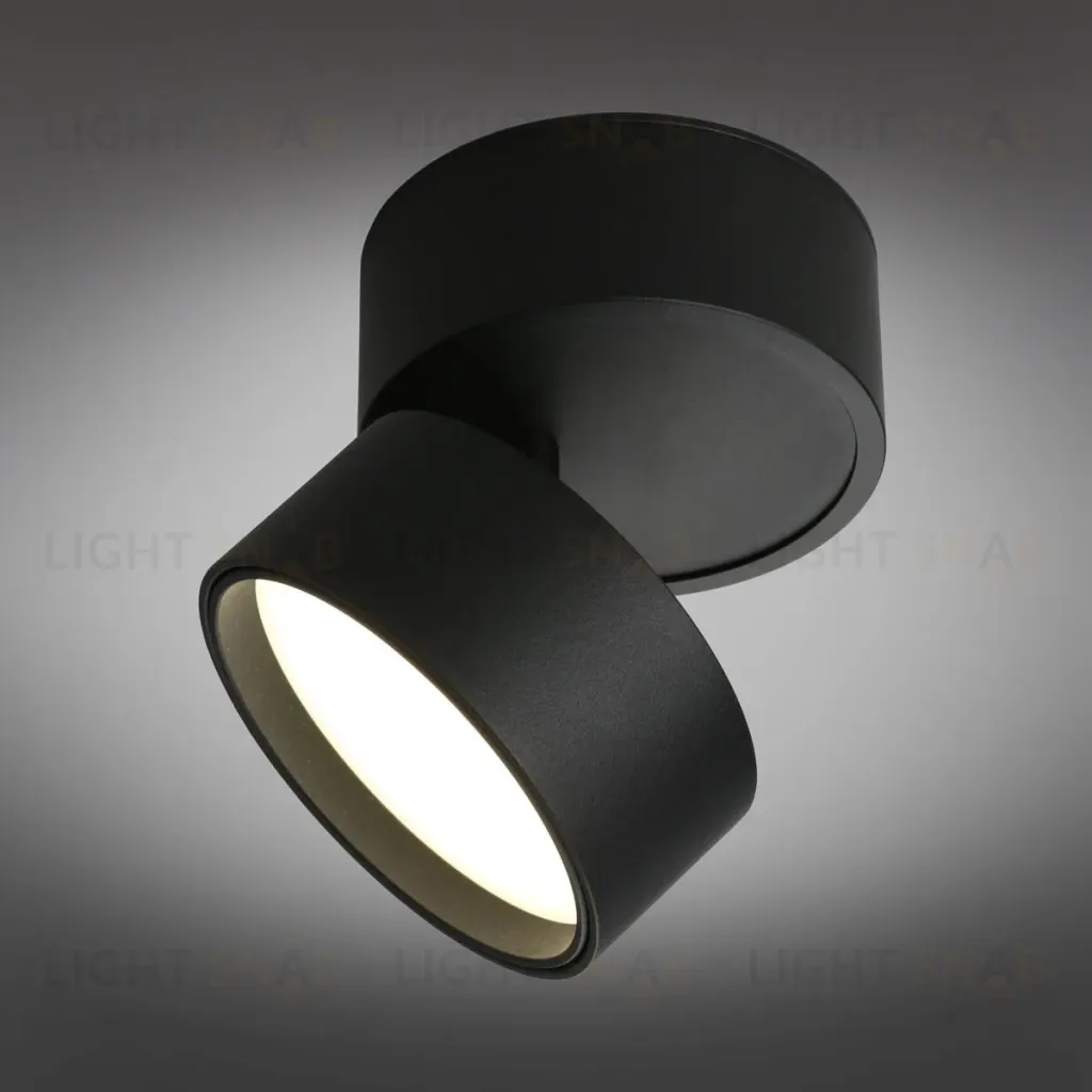 Светодиодный спот Omnilux Lenno OML-101319-12 OML-101319-12