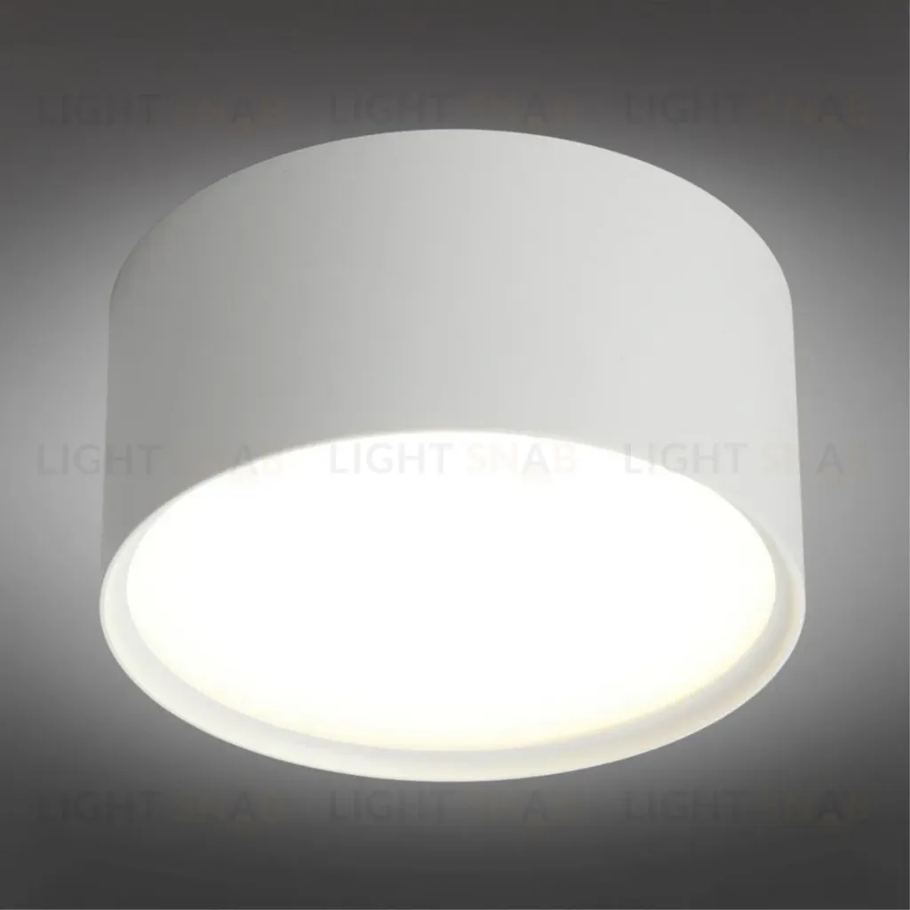 Потолочный светодиодный светильник Omnilux Salentino OML-100909-12 OML-100909-12