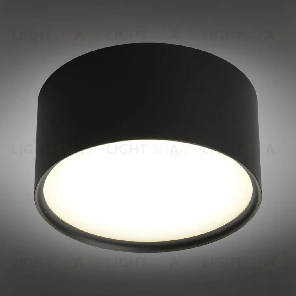 Потолочный светодиодный светильник Omnilux Salentino OML-100919-12 OML-100919-12