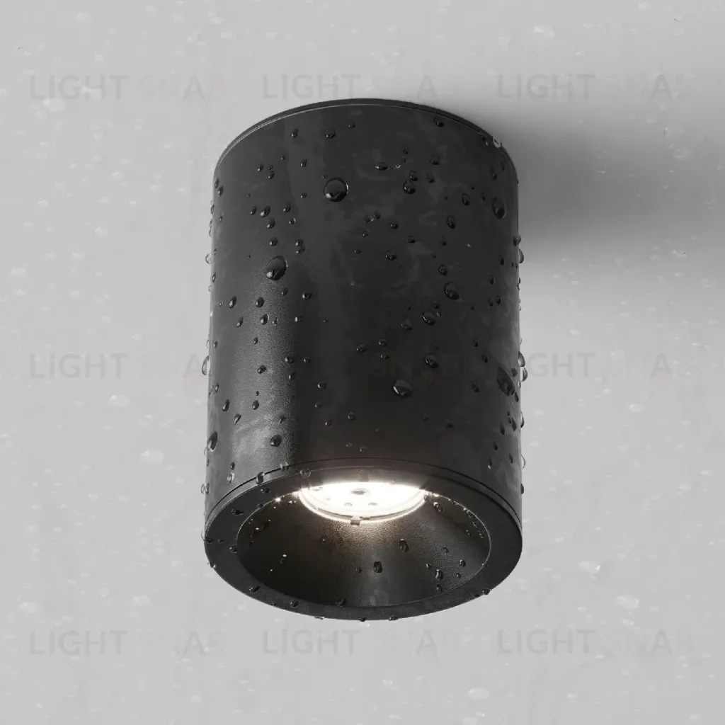 Потолочный светильник Maytoni Antares C029CL-01B C029CL-01B