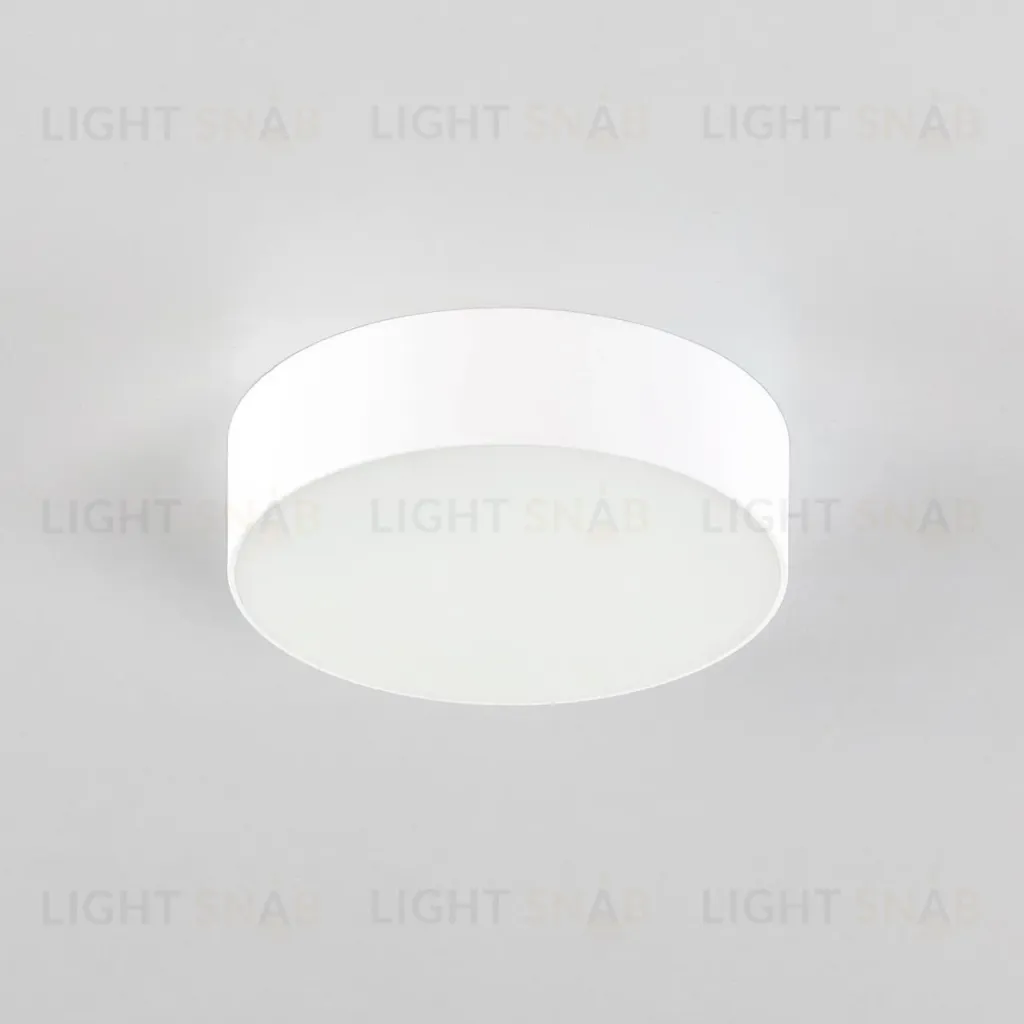 Накладной светодиодный светильник Citilux Тао CL712120N CL712120N